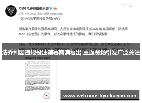 法乔利因违规投注禁赛期满复出 重返赛场引发广泛关注 法乔利因违规投注禁赛期满复出 重返赛场引发广泛关注